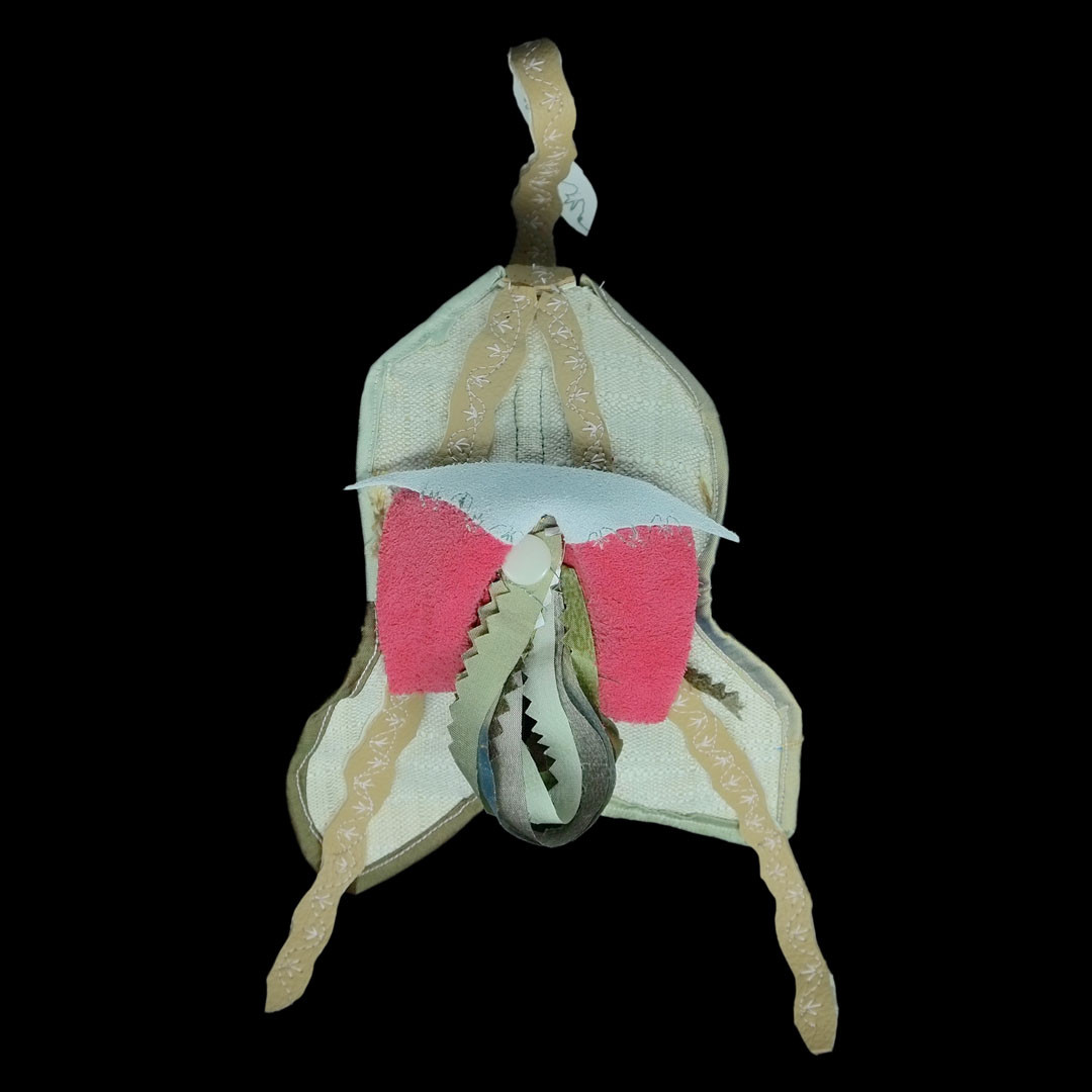 orquidia-violeta amunet