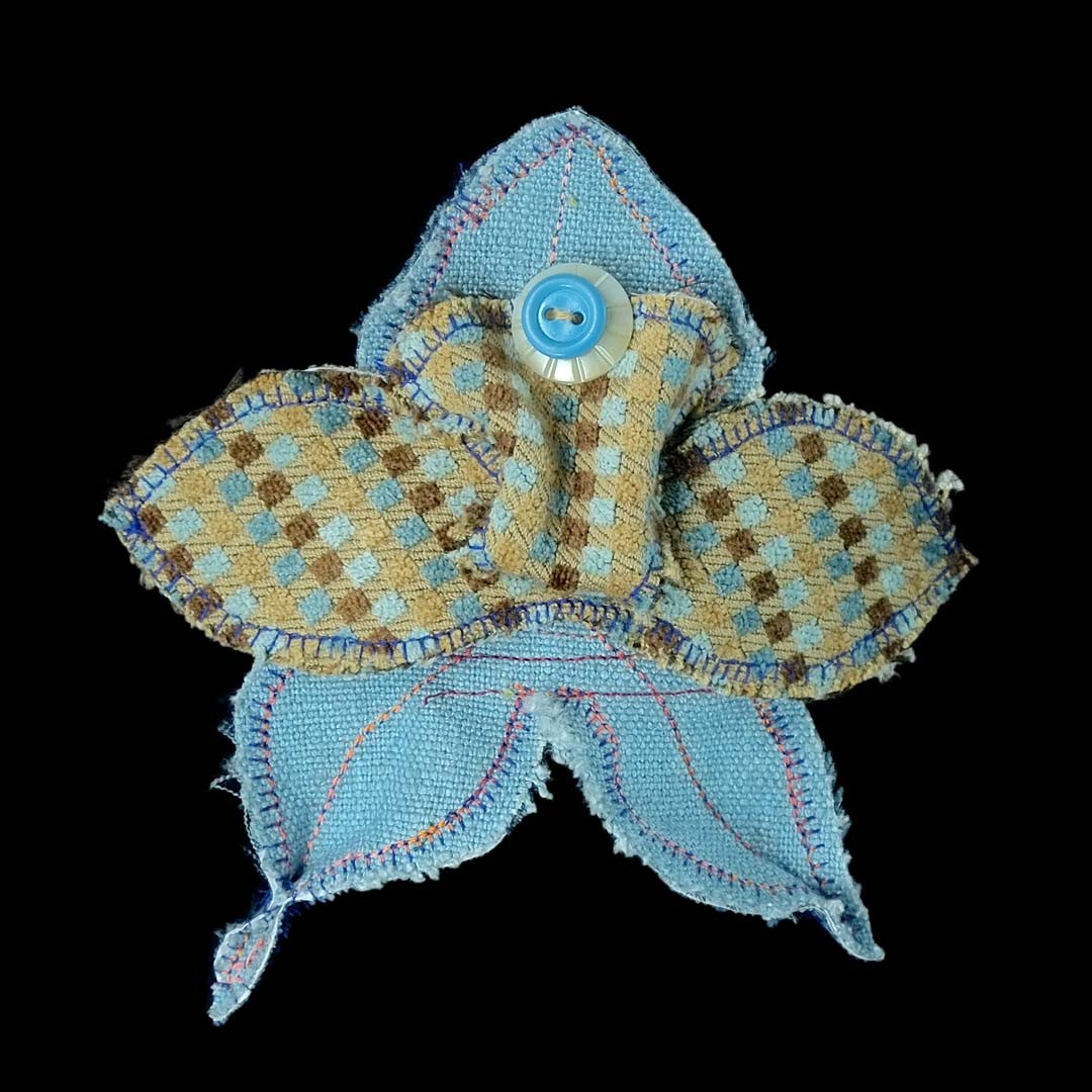 orquidia-violeta ataksak