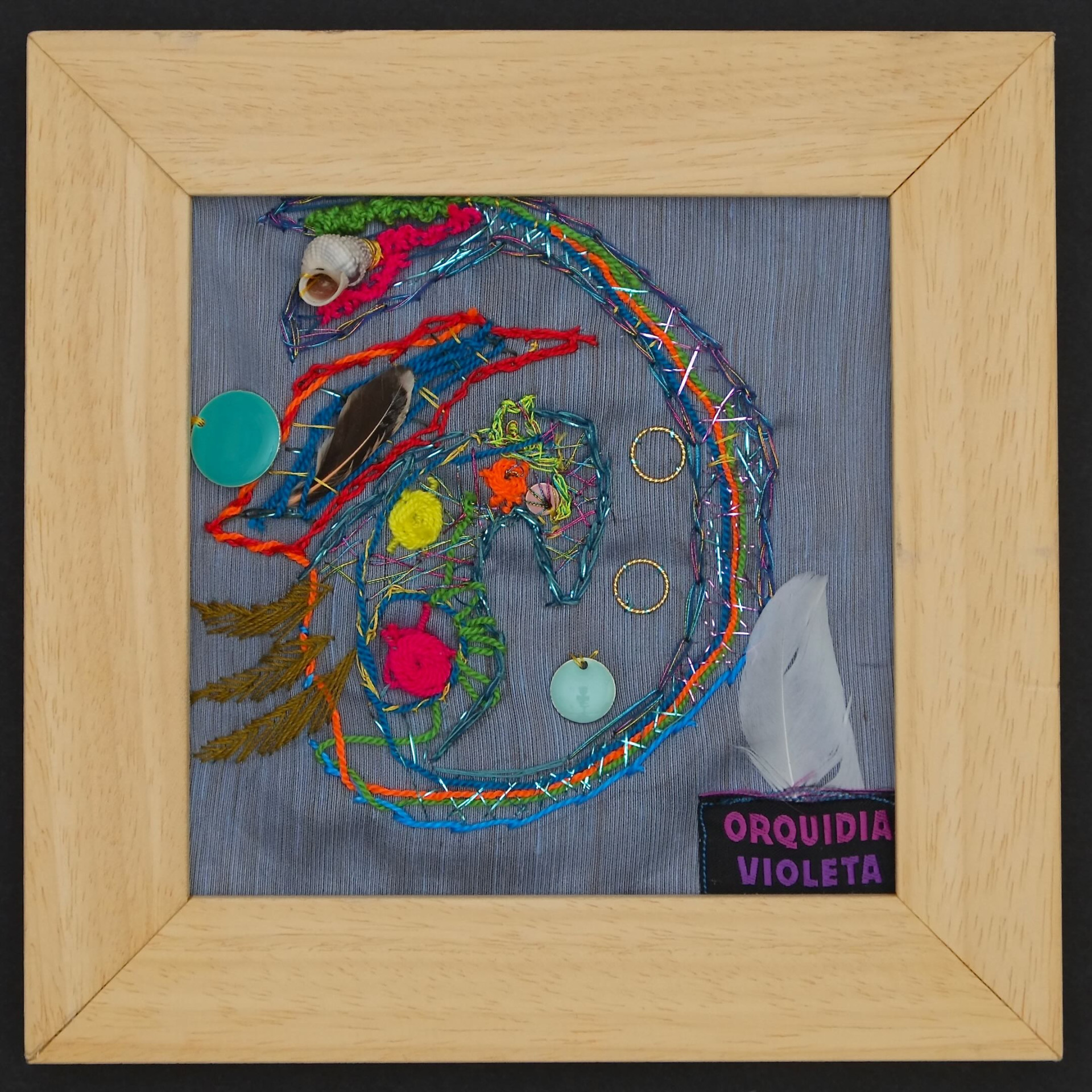 orquidiavioleta-caballito de mar y ave-seahorse and bird